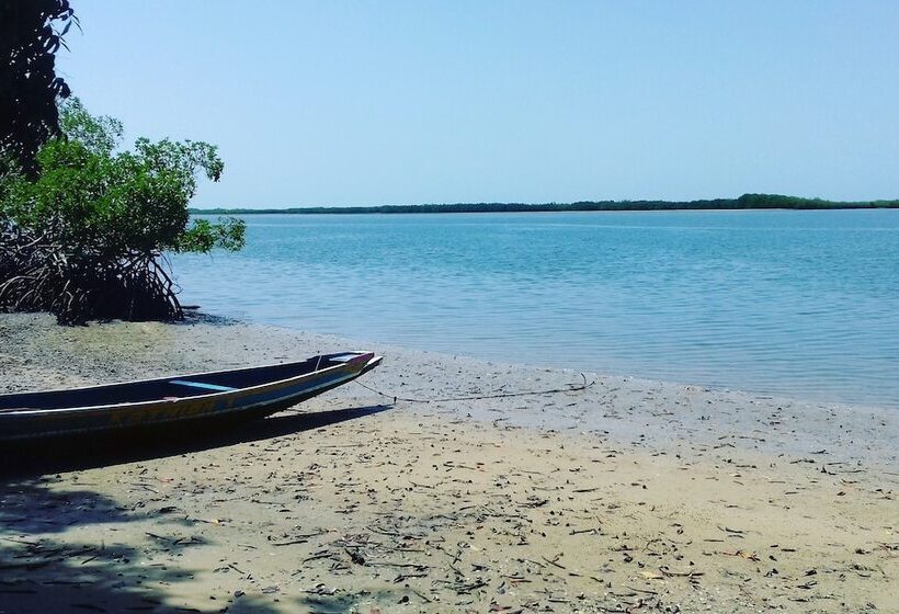 هتل Bonobo Lodge