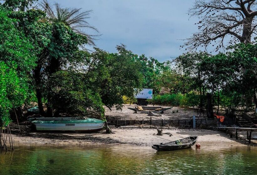هتل Bonobo Lodge
