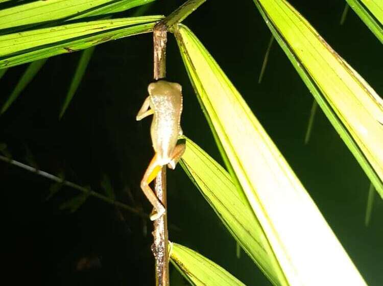 هتل Refugio Turistico Maiku