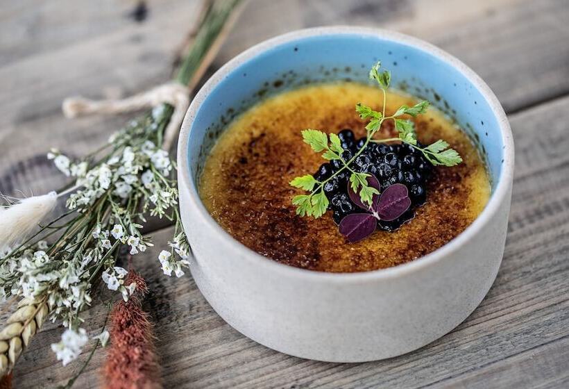 בית מלון כפרי Sidesporet