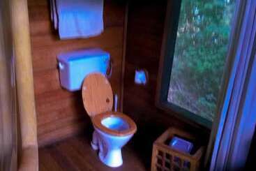 هتل The Rainforest Geo Lodge