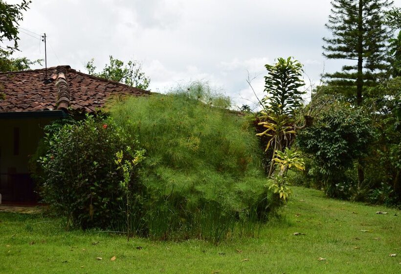 פנסיון Casa El Cedro