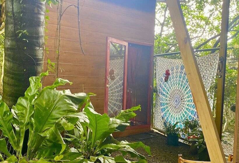 پانسیون Guest House Pura Vida