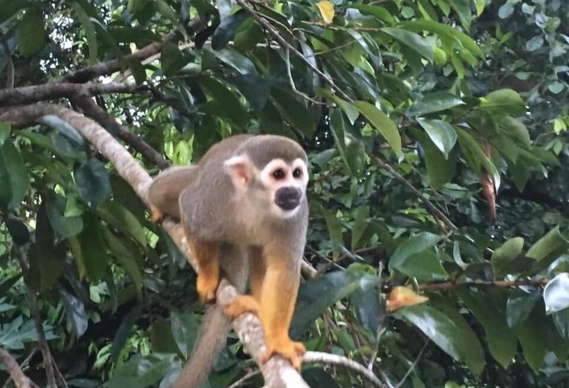 پانسیون Guesthouse La Ressource