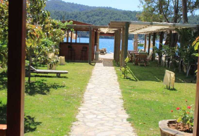 膳宿费 Sakin Vadi Winehouse