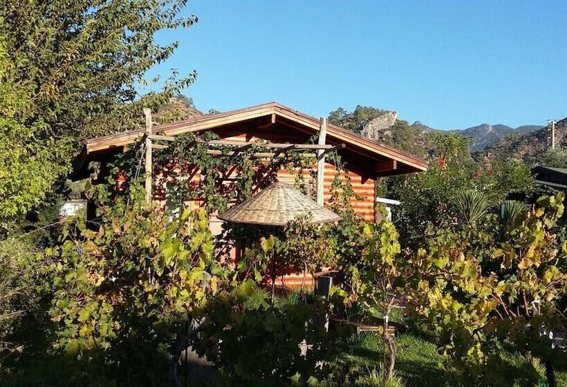 膳宿费 Sakin Vadi Winehouse