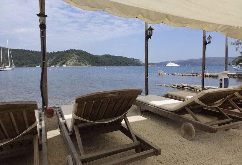 膳宿费 Sakin Vadi Winehouse