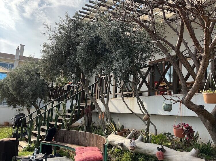 Villa Zeus Otel