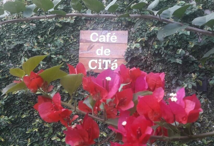 تختخواب و صبحانه Casa Citá