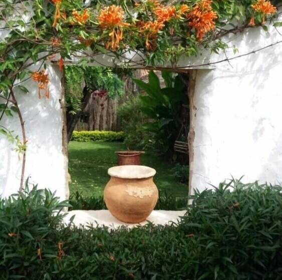 Bed and Breakfast Casa Palosanto Adults Only