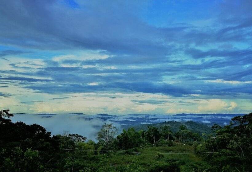هتل Heimatlos Rainforest Lodge