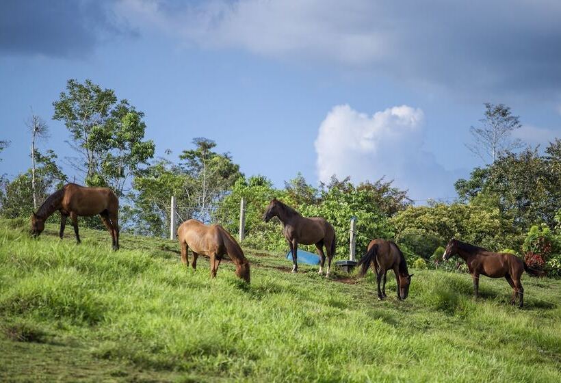 فندق La Finca Lodge