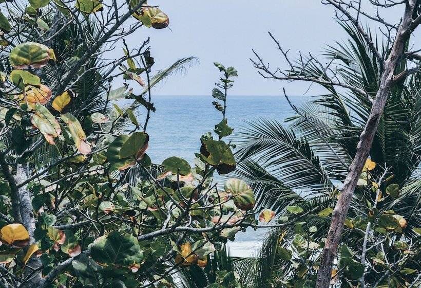 ホテル Playa Los Angeles