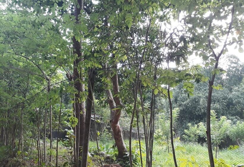 בית מלון כפרי Singalong Nature Camphill Site