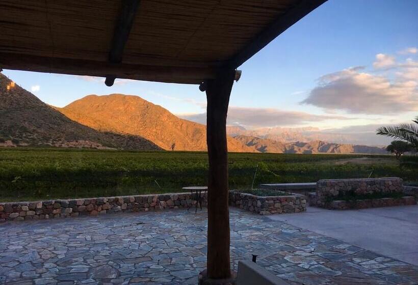 פנסיון Chañarmuyo Casa De Huéspedes