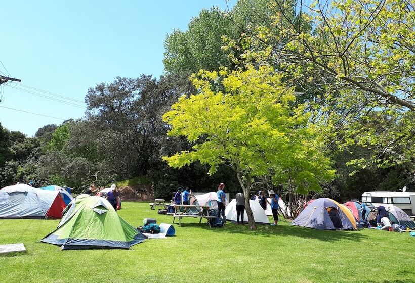 منتجع Orere Point Top 10 Holiday Park