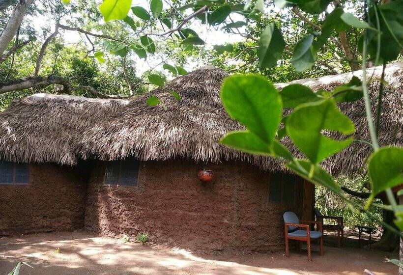 住宿加早餐  Selous Adili Forest Camp