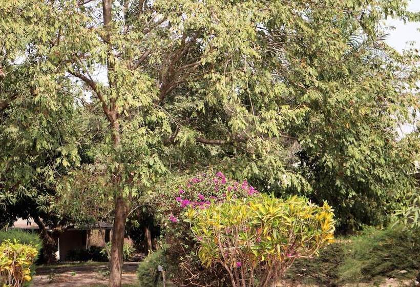 تختخواب و صبحانه Yuna Village Garden Resort