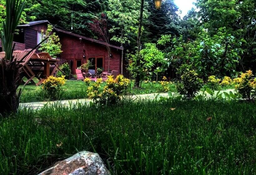 ホテル Derin Irmak Bungalow
