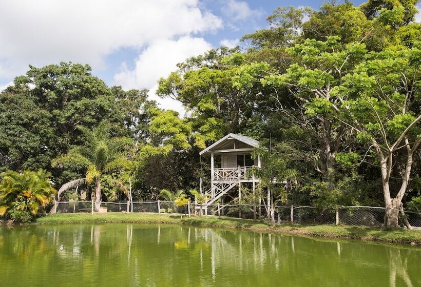 هتل Farino Lodge