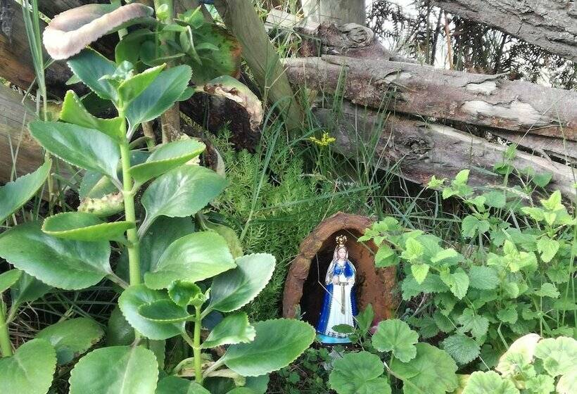 هتل Hostel Ferme Shamba La