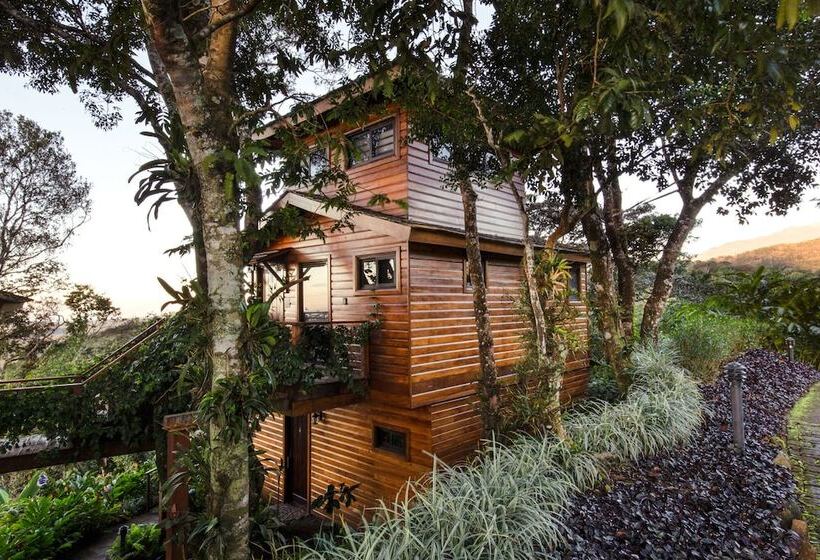 فندق Lucero   Luxury Treehouses