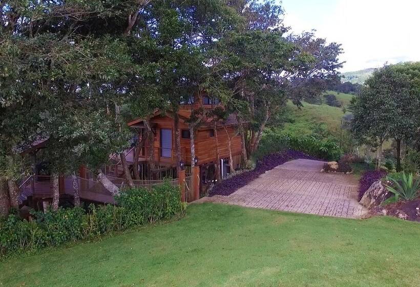 호텔 Lucero Luxury Treehouses