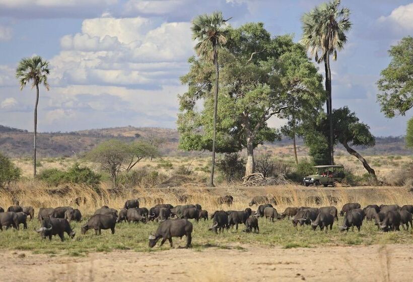 هتل Ruaha Dream Villa