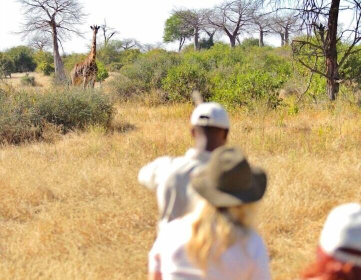 هتل Ruaha Dream Villa