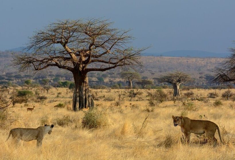 هتل Ruaha Dream Villa