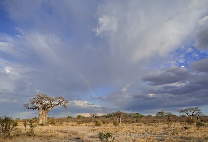 هتل Ruaha Dream Villa