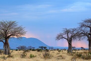 هتل Ruaha Dream Villa