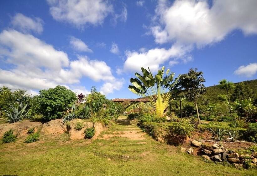 ユースホステル Sítio Monte Alegre