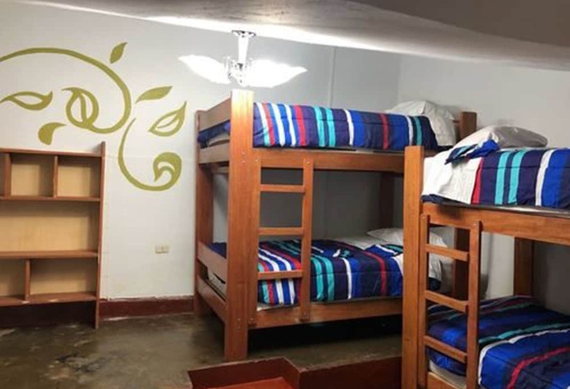 هاستل Dejavu Backpackers Chachapoyas