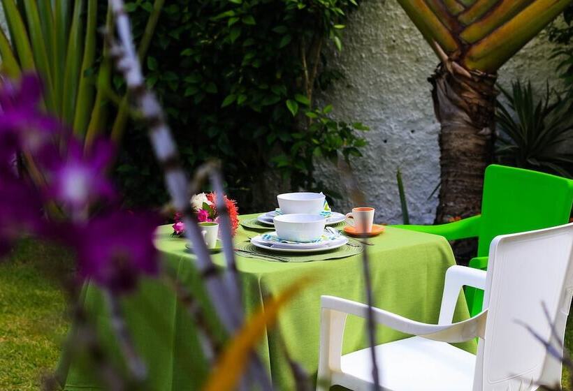 مبيت وإفطار Villa Rosa Dominicus