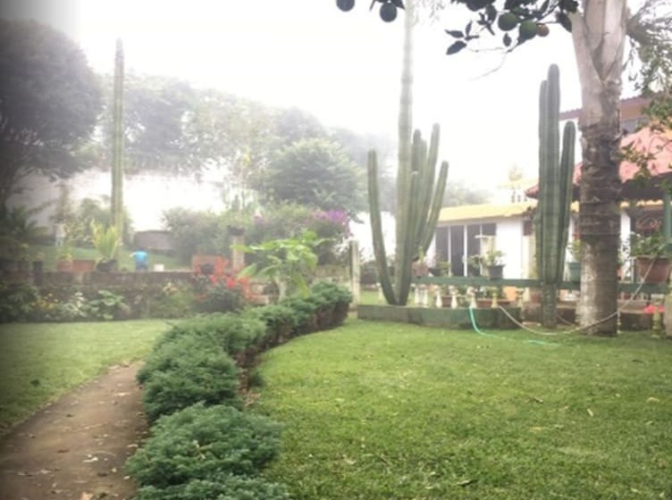 فندق فئة نجمة واحدة Los Cactus