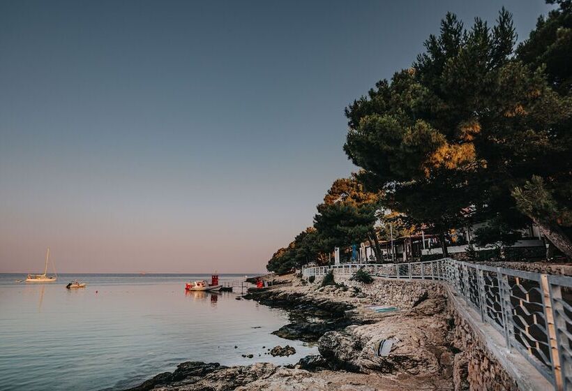 בית מלון כפרי Colentum Resort Murter