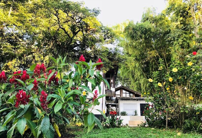 هتل Entre Los Arboles