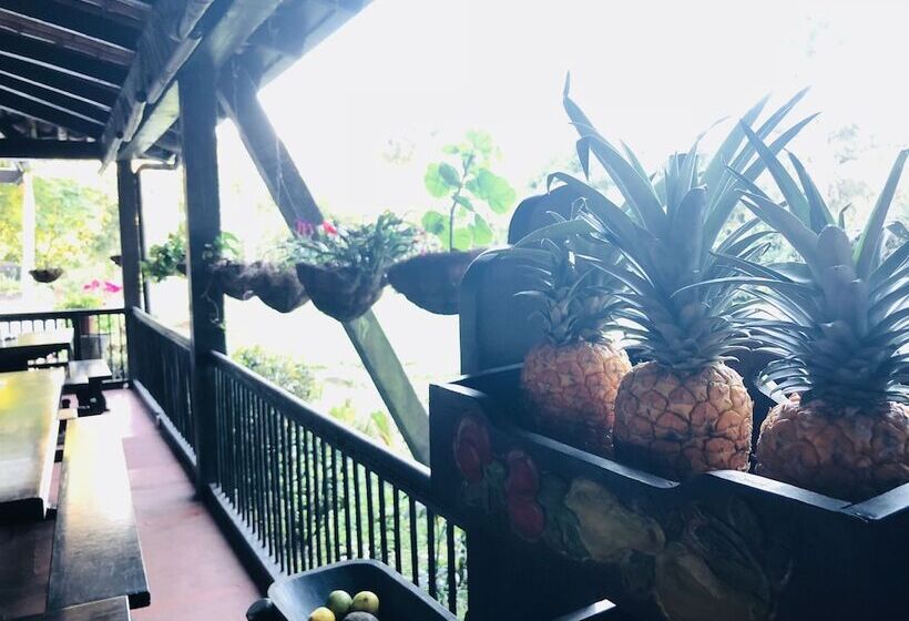 هتل Entre Los Arboles