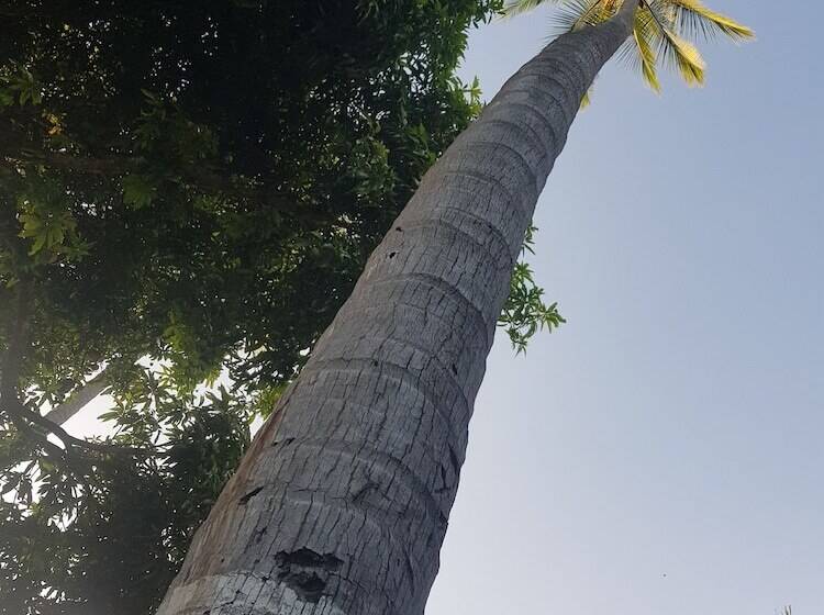 هتل Paraíso Escondido