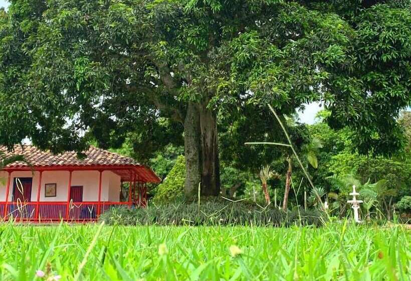 هتل Pueblito Cafetero