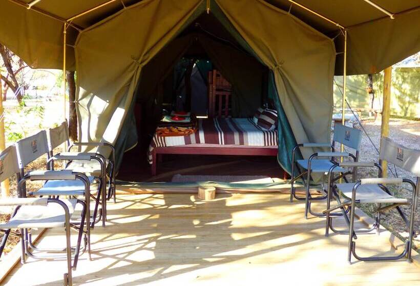 בית מלון כפרי Thorn Tree Bush Camp