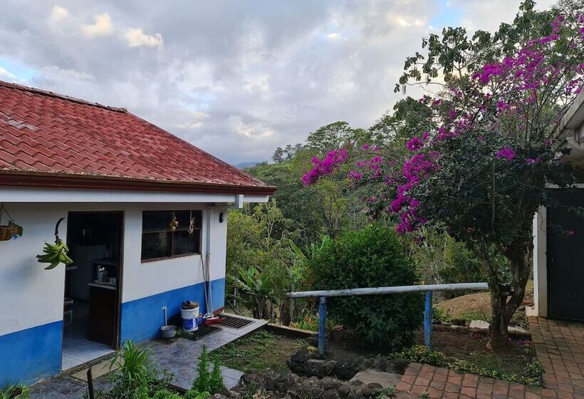 Отель Villas Valle Bello