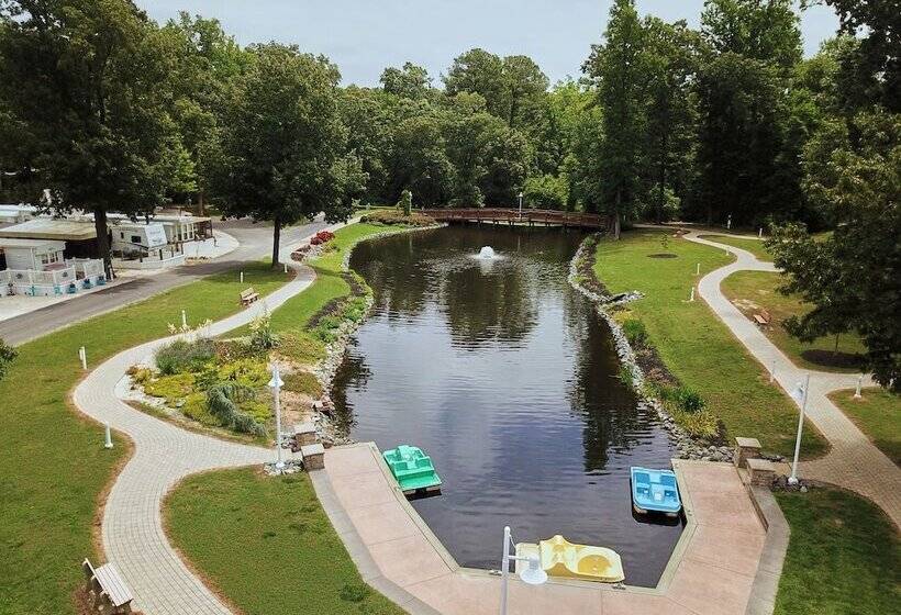 渡假胜地  Grey S Point Camp