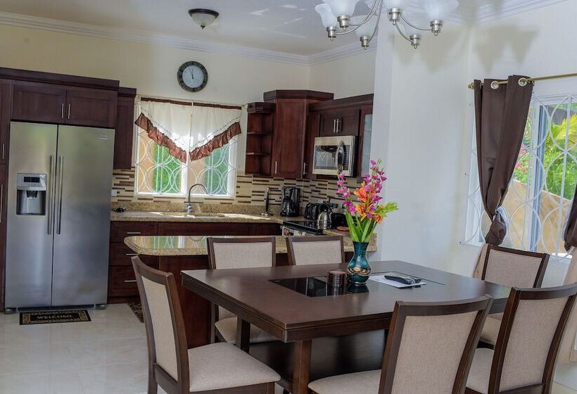 Tropical Luxury Dreams
