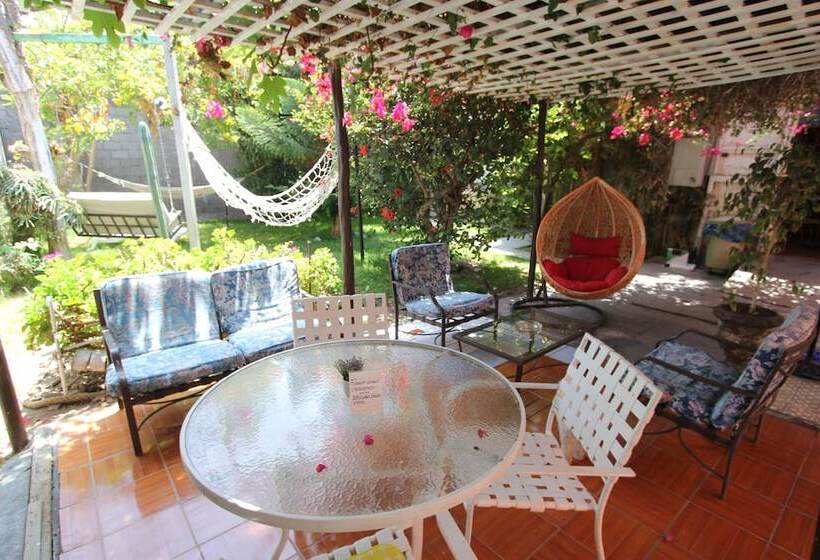 ベッドアンドブレックファースト Casa Del Profesor