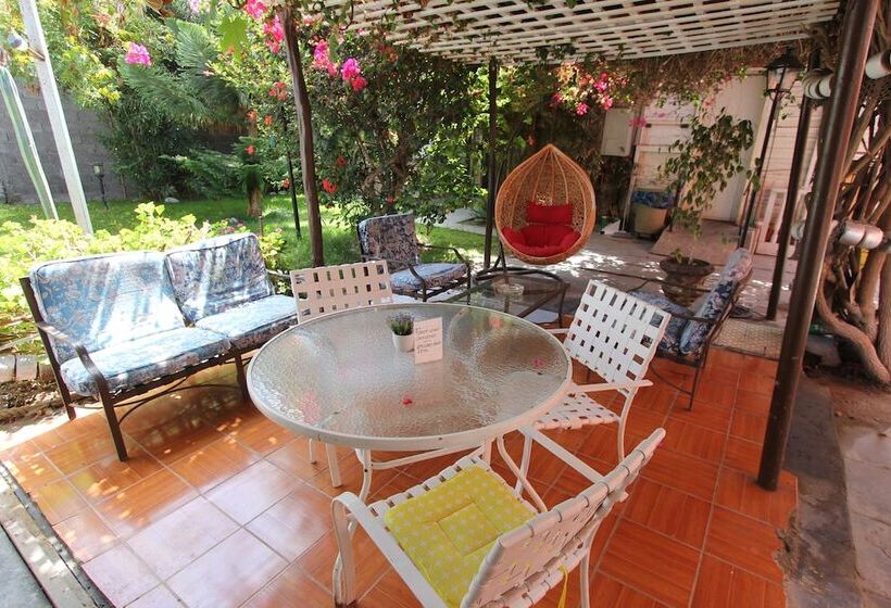 Bed and Breakfast Casa Del Profesor