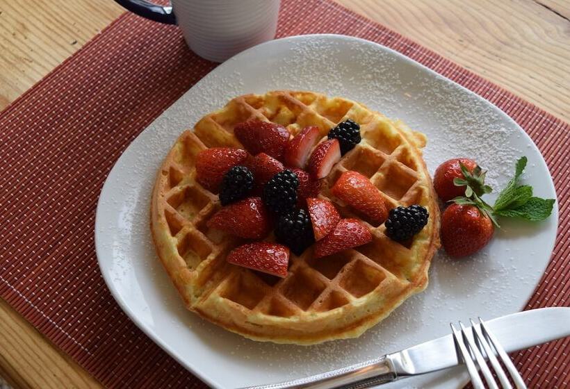 تختخواب و صبحانه Cedar Spring Inn & Spa