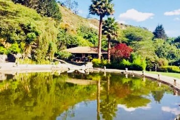 تختخواب و صبحانه Villa Juliana