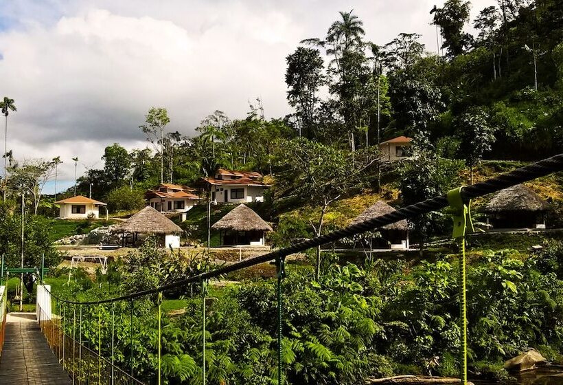 هتل Amuntai Rainforest Lodge